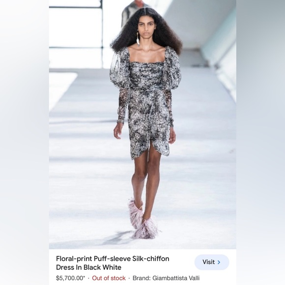 GIAMBATTISTA VALLI 2019 RUNWAY DRESS - Picture 12 of 12